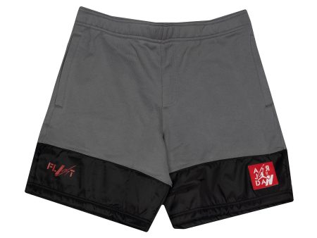 Air Jordan Legacy AJ4 Shorts Supply