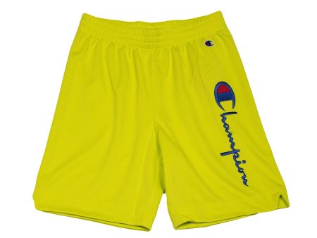 Champion Men s Shorts Fashion