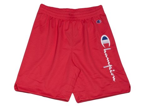 Champion Men s Shorts For Cheap