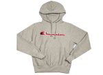 Champion Men s Hoodie Sale